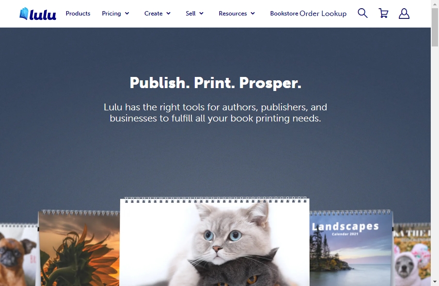 Best Publishing Websites Examples 2