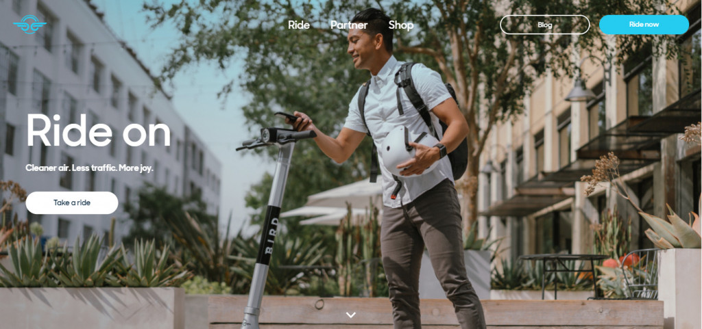 Rental Website Designs 11